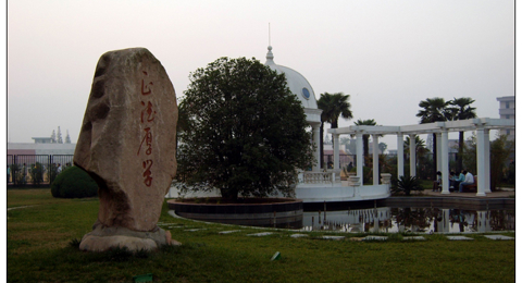 我校接受“健康促进买球（中国）”（金奖）评估验收