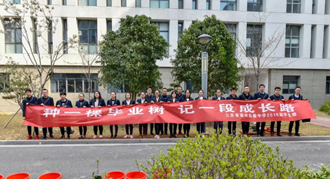 一棵毕业树   一段成长路